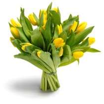 Bouquet of 31 Yellow Tulips